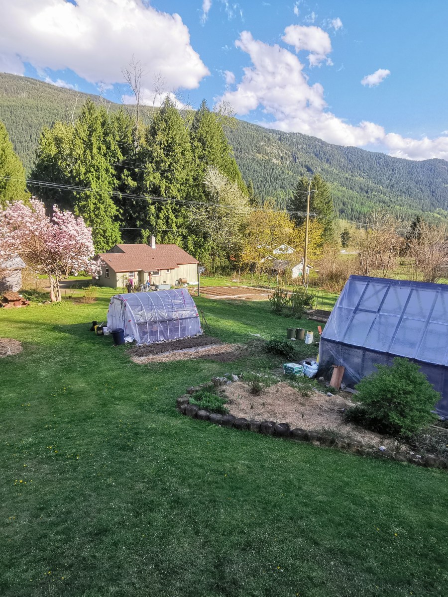 Woofing – Castlegar #2