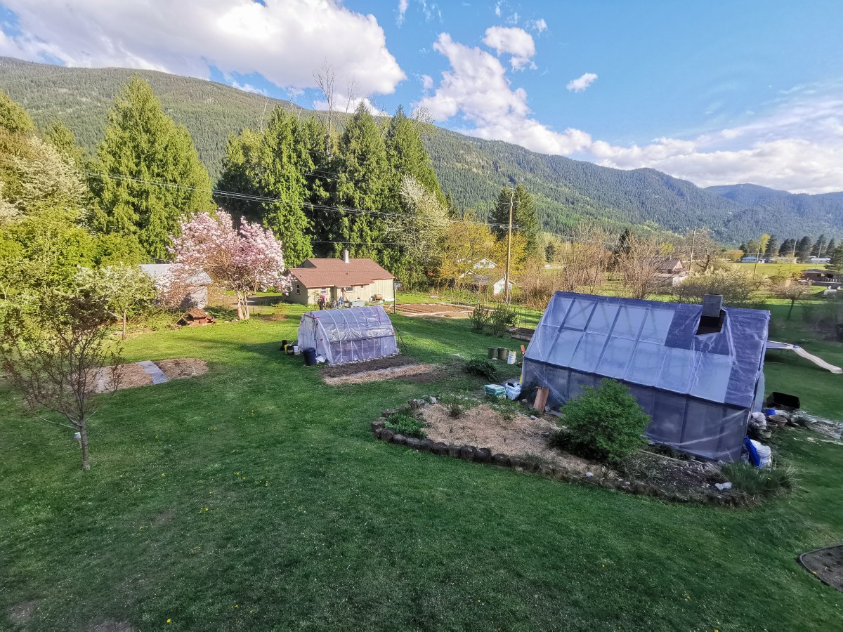 Woofing – Castlegar #2