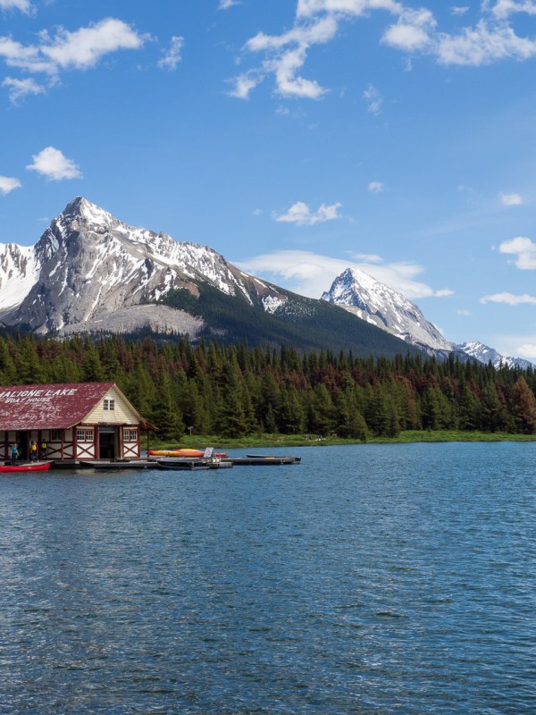 Jasper National Park #1
