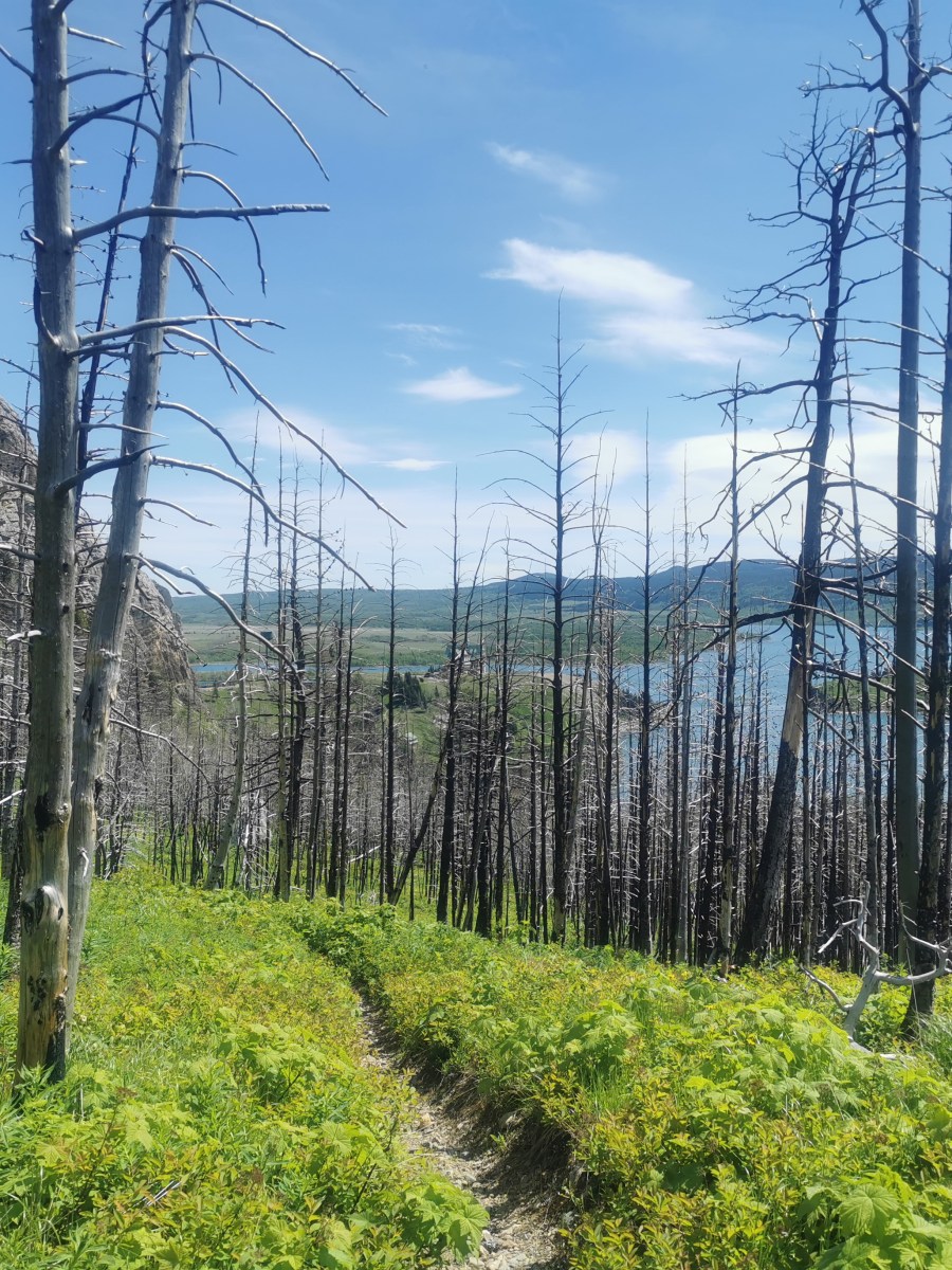 Waterton Lakes National park