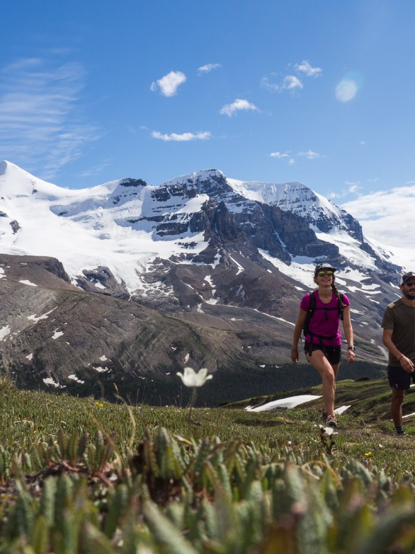 Jasper National Park #2