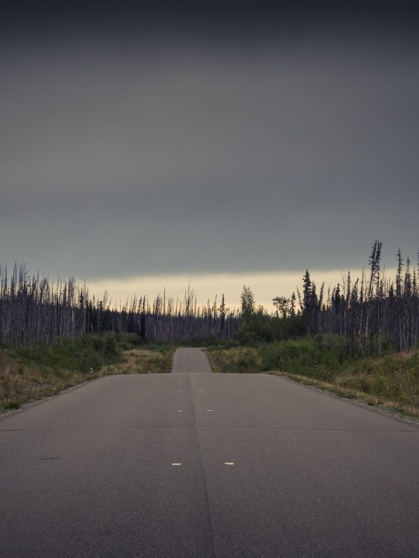 Cassiar-Stewart highway (#37)