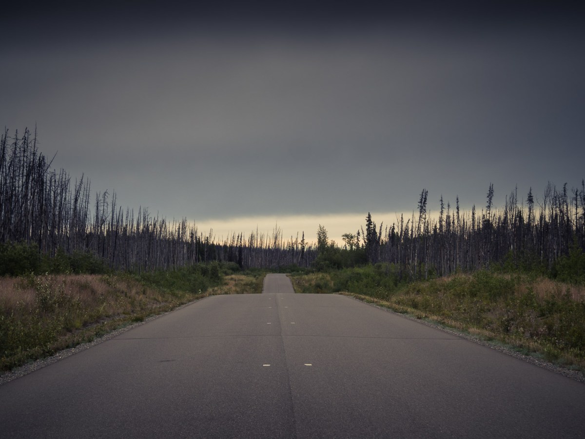 Cassiar-Stewart highway (#37)