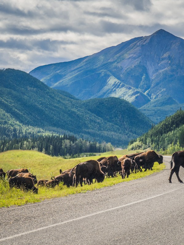 Atlin, Watson Lake & Alaska highway